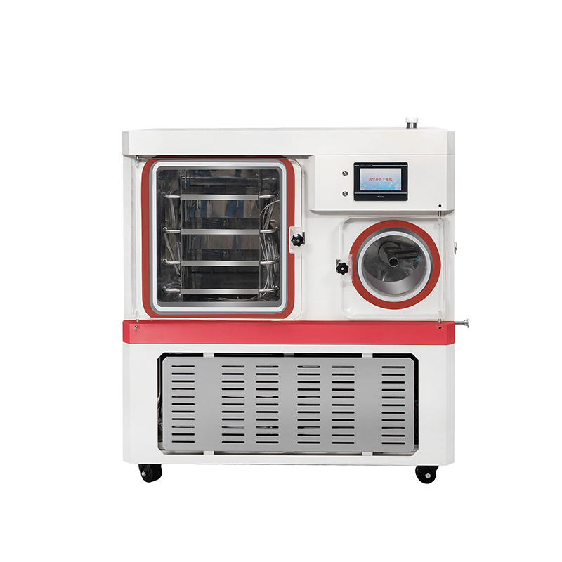 真空冷冻干燥机CTFD-30S