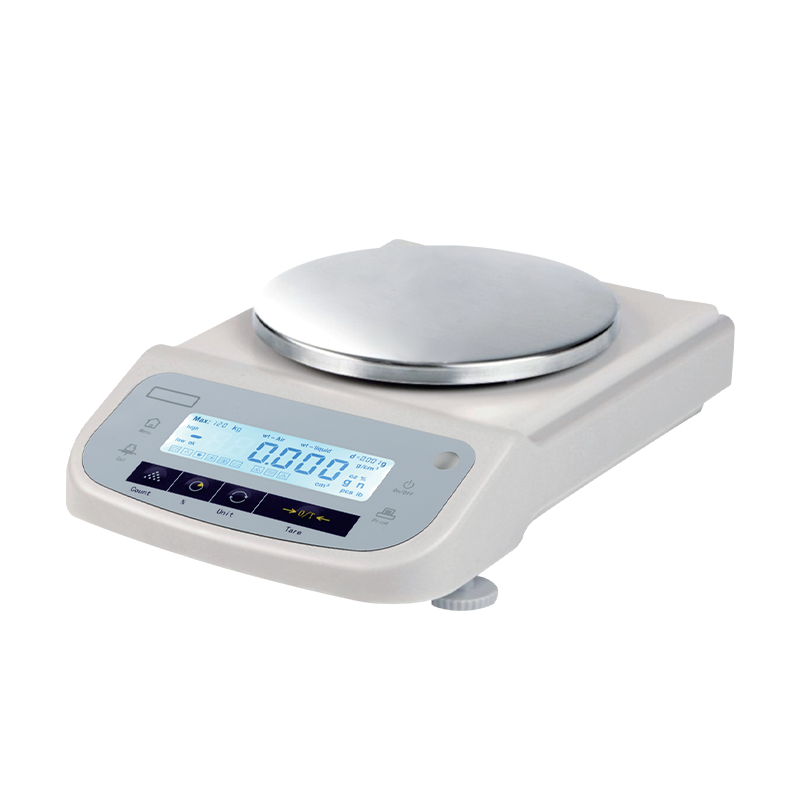 ES-B系列百分之一天平10mg